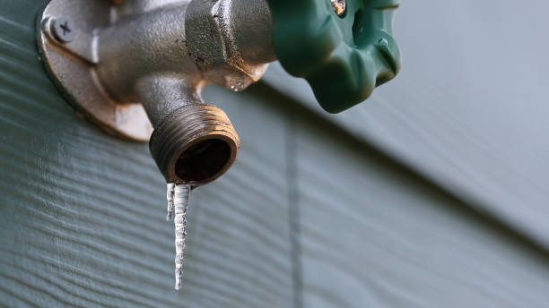 Best Affordable Plumber Near Me  in Charlevoix, MI